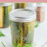 Homemade spicy pickles in a mason jar and a sprig of fresh dill.