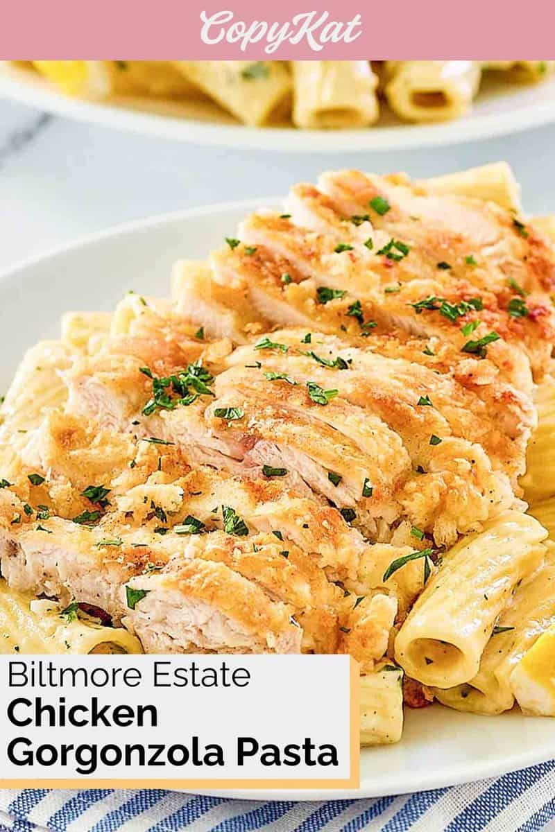 Closeup of homemade Biltmore Estate chicken gorgonzola pasta on a white plate.