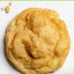 A snickerdoodle cookie.