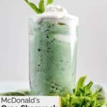 Homemade McDonald's oreo shamrock mcflurry garnished with fresh mint.