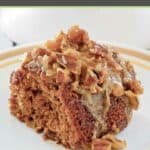 A slice of old-fashioned oatmeal cake with coconut pecan frosting.