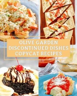 Copycat Olive Garden shrimp fritta, chicken flatbread, brownie, and 5 cheese lasagna.