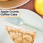 Apple crumb coffee cake slice and a fork on a plate.