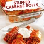 Homemade stuffed cabbage rolls on a plate and in a baking dish.