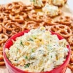 Creamy, cheesy million dollar dip and mini pretzels.