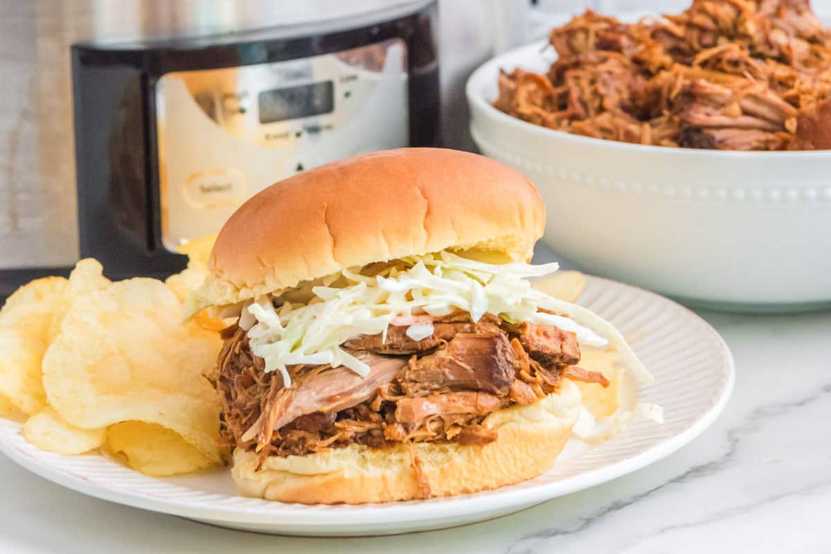 Shredded pork, coleslaw, and pickle sandwich and potato chips on a plate.