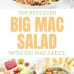 Big Mac salad with Big Mac sauce and the ingredients to make it.