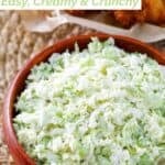 A bowl of homemade coleslaw.