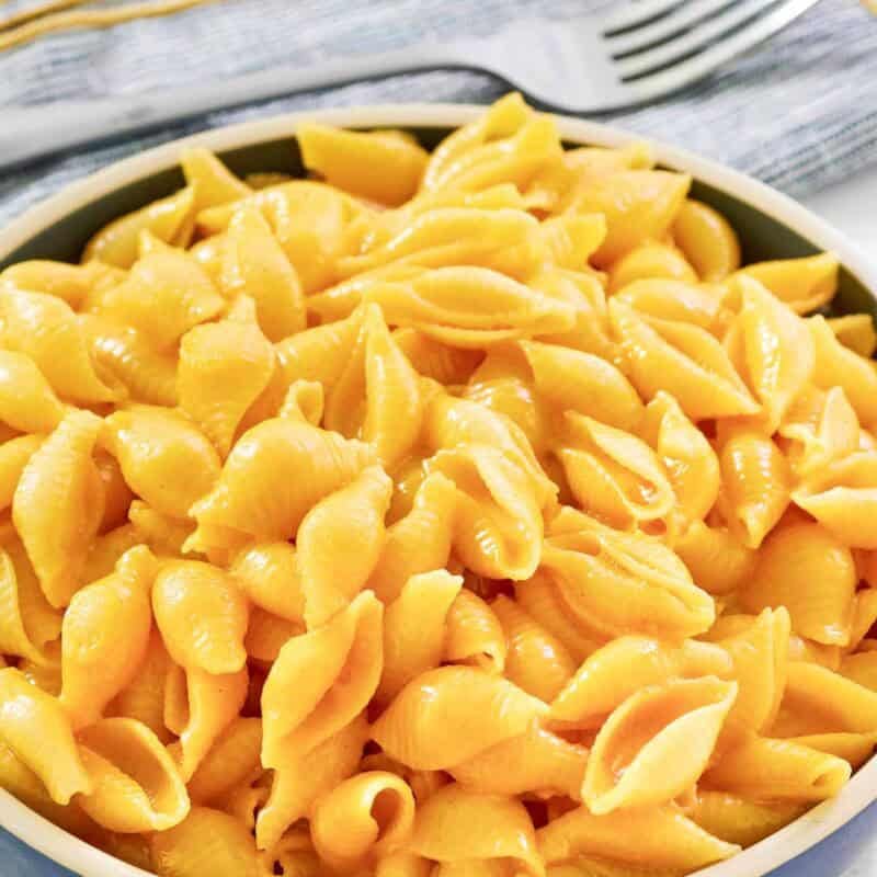 Shell pasta and cheese dish.