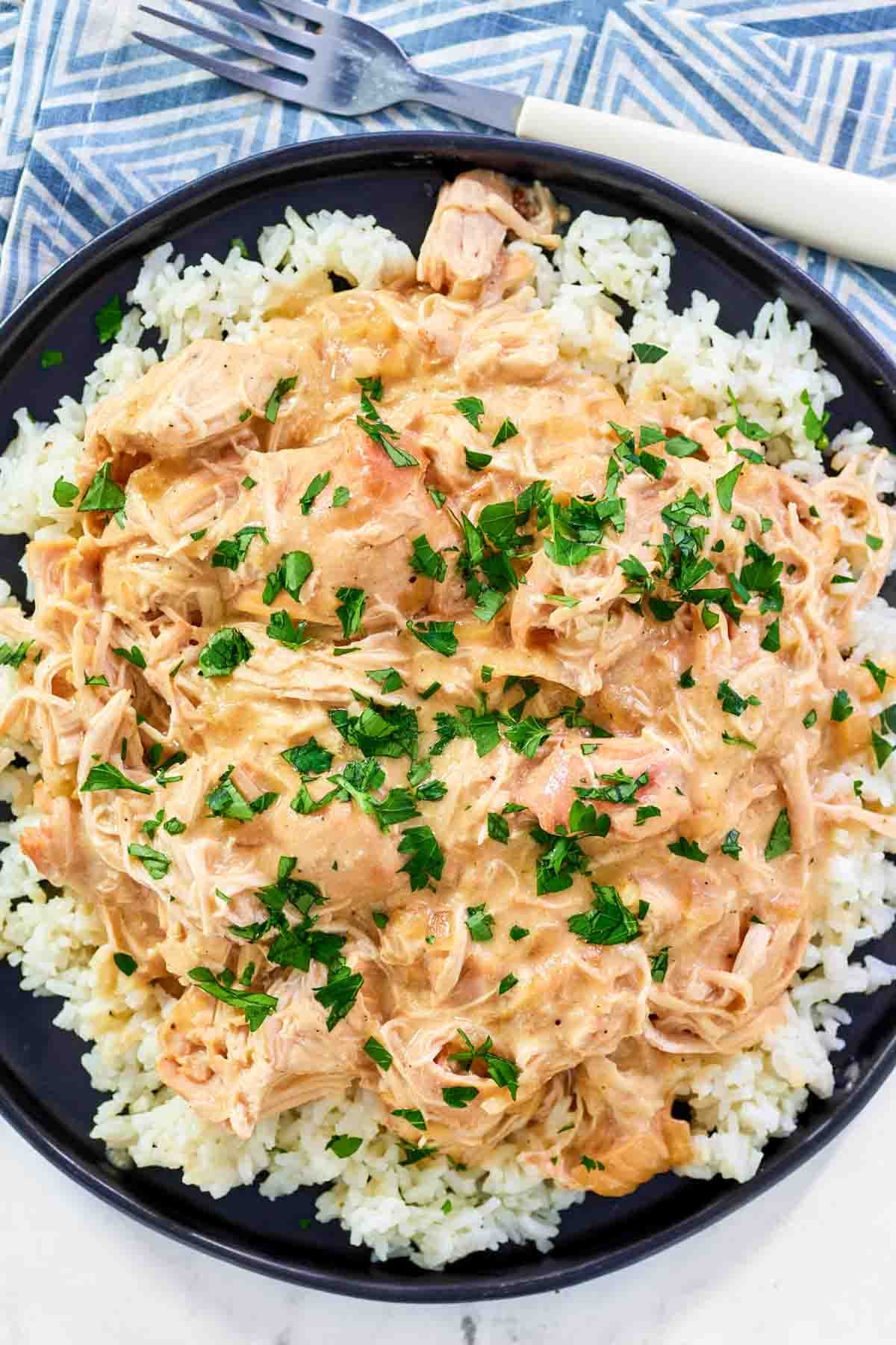 Shredded chicken and creamy gravy over rice.