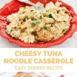 Cheesy tuna noodle casserole in a baking dish and a serving on a plate.